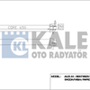 kale-intercooler-al-pl-brz-a1-ibiza-v-toledo-iv-fabia-rapid-roomster-polo-344780-2