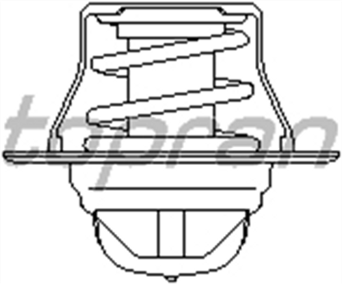 topran-termostat-bora-caddy-golf-passat-polo-t5-sharan-octavia-fabia-toledo-ibiza-cordoba-a3-a4-a6-tt-87c-100957755