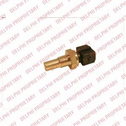 delphi-hararet-musiru-escort-v-vi-18-16v-16I-16v-91-95-ts10244-12b1