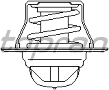 TOPRAN topran termostat bora caddy golf passat polo t5 sharan octavia fabia toledo ibiza cordoba a3 a4 a6 tt 87c 100957755