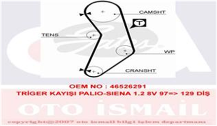 GATES gates 5545xs 129x15 hsn fiat strada pick up lancia y ypsilon lancia ypsilon fiat punto fiat albea fiat doblo fiat palio fiat panda 5545xs