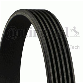 CONTINENTAL CTAM continental v kayisi 6pk970 2