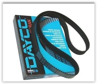 DAYCO triger kayisi 095x170 clio14 r9 r19 exp kng gd95h9 5p170 ct709 6