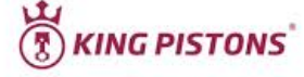 KING PISTON